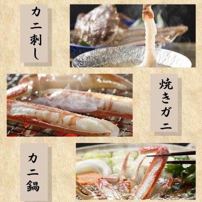 【活き】タグ付き松葉ガニ　大2枚(800～940g前後/枚)