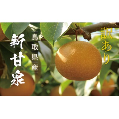 【訳あり】新甘泉　3kg