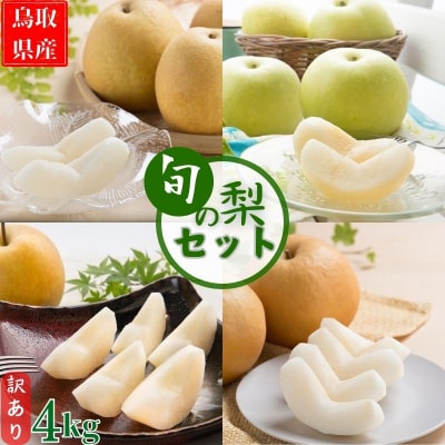 【訳あり】鳥取県産旬の梨セット 4kg