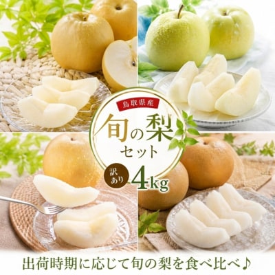【訳あり】鳥取県産旬の梨セット 4kg