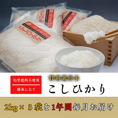 【令和7年産米】“土づくりの恵み” つやっつやの特別栽培米お届け 12ヶ月コース