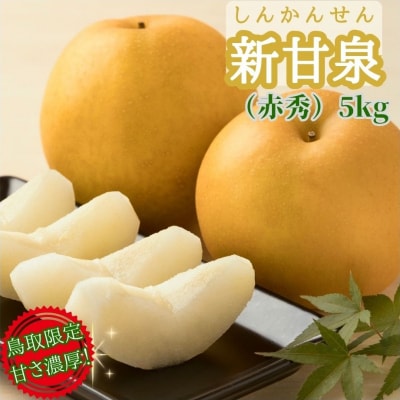 【2026年発送分】新甘泉(赤秀) 5kg