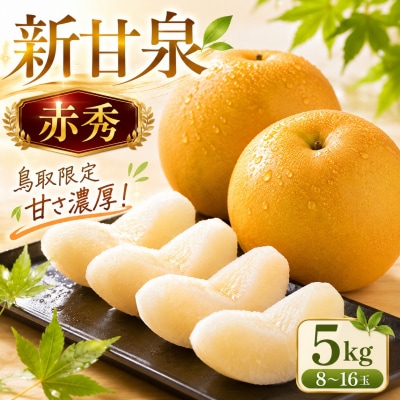 【2026年発送分】新甘泉(赤秀) 5kg