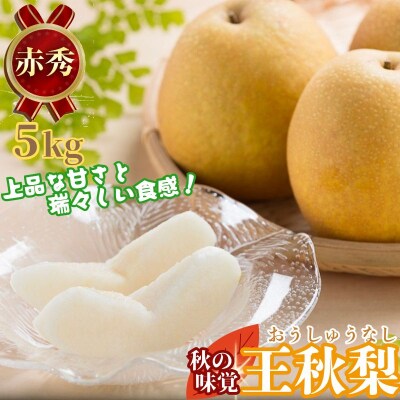 【2026年発送分】王秋梨(赤秀) 5kg【JA鳥取いなば】