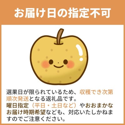 【2025年発送分】王秋梨(赤秀) 5kg