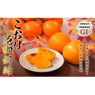 こおげ花御所柿 5kg