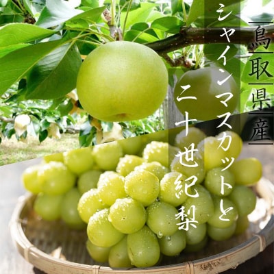 シャインマスカットと二十世紀梨のセット(小)