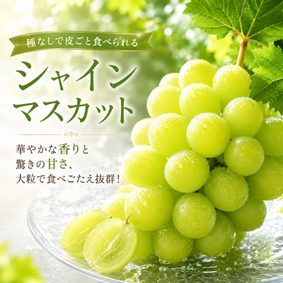 シャインマスカットと二十世紀梨のセット(小)