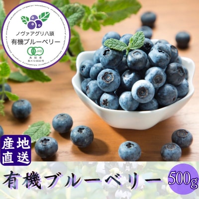 【期間限定】完熟有機ブルーベリー500g