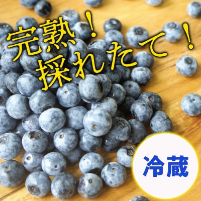【期間限定】完熟有機ブルーベリー500g