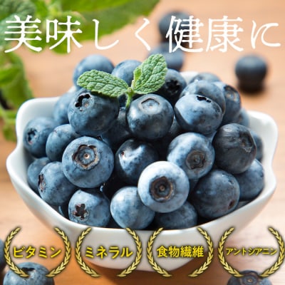 【期間限定】完熟有機ブルーベリー500g