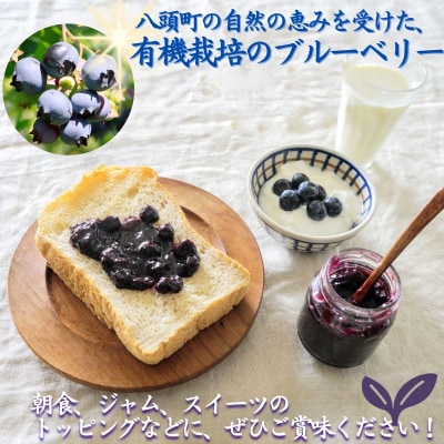【期間限定】完熟有機ブルーベリー500g