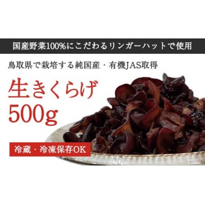 純国産生きくらげ500g