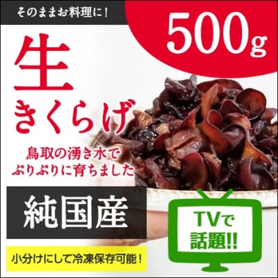 純国産生きくらげ500g【有機JAS認証】