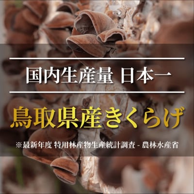 純国産 有機JAS認証 乾燥きくらげ300g