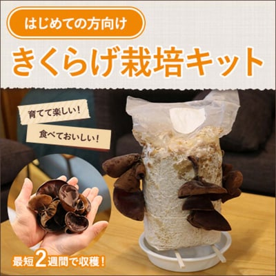 おうちでかんたん!純国産きくらげ栽培キット