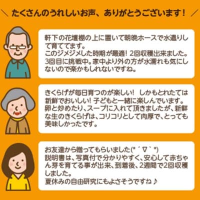 おうちでかんたん!純国産きくらげ栽培キット