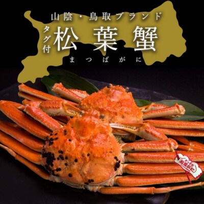 【蒸し】タグ付き松葉ガニ　中2枚(500～640g前後/枚)