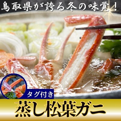 【蒸し】タグ付き松葉ガニ　中2枚(500～640g前後/枚)