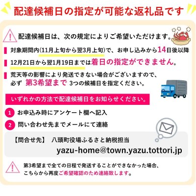 【蒸し】タグ付き松葉ガニ　中2枚(500～640g前後/枚)