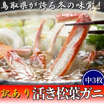 【活き】訳あり松葉ガニ　中　3枚(500～640g前後/枚)