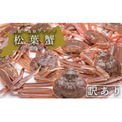 【活き】訳あり松葉ガニ　大　1枚(800～940g前後)