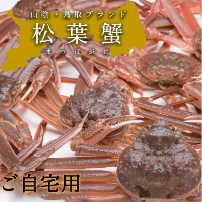 【活き】訳あり松葉ガニ　大　2枚(800～940g前後/枚)