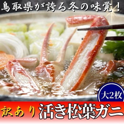 【活き】訳あり松葉ガニ　大　2枚(800～940g前後/枚)