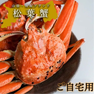 【蒸し】訳あり松葉ガニ　中　3枚(500～640g前後/枚)