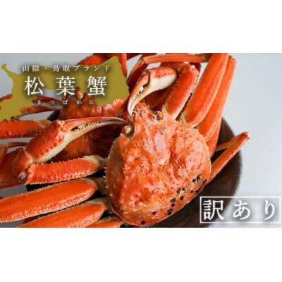 【蒸し】訳あり松葉ガニ　大　1枚(800～940g前後)