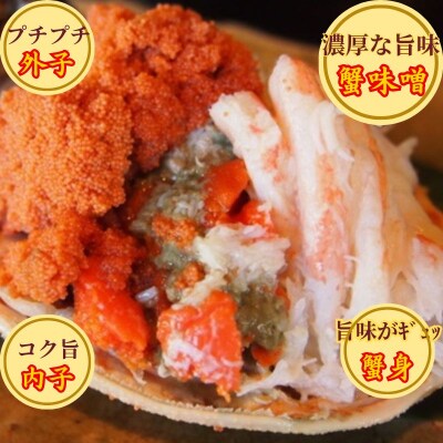 【活き】訳あり足折れ日本海産親ガニ(セコガニ)　10枚