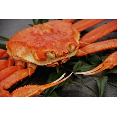 【蒸し】訳あり松葉ガニ 1kg