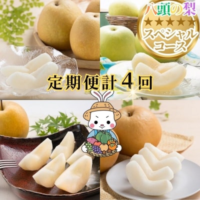 【2026年発送分】八頭の梨スペシャルコース
