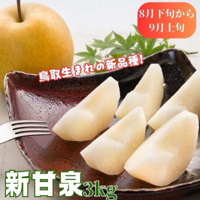 【2026年発送分】八頭の梨スペシャルコース