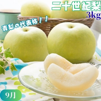 【2026年発送分】八頭の梨スペシャルコース