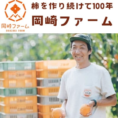 輝太郎柿 3kg(ご家庭用)