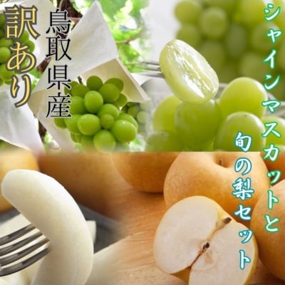 【訳あり】シャインマスカットと旬の梨セット