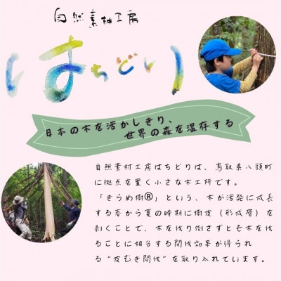 [きらめ樹 間伐材] まな板(大)