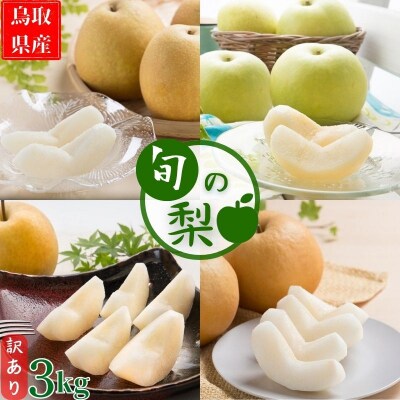 【数量限定】今シーズン発送!【訳あり】鳥取県産旬の梨 3kg <期間限定生産者支援>