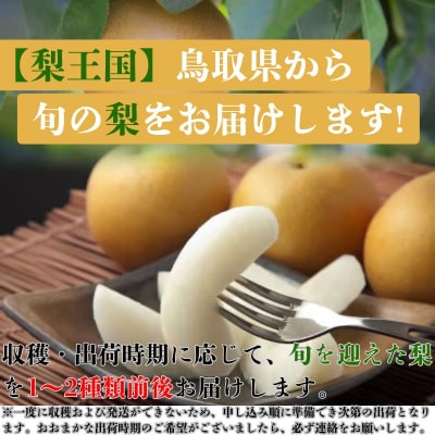 【訳あり】鳥取県産旬の梨 3kg