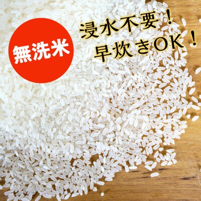 【3個入りお米ギフト】プリンセスかおり3個