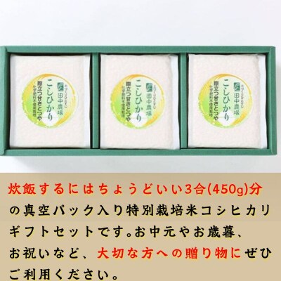 コシヒカリ450g×3個【3個入りお米ギフト】