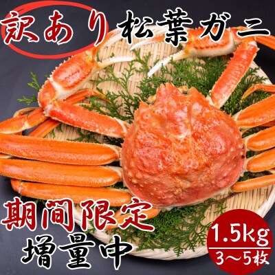 【期間限定!】【11/20発送分まで限り増量】ボイル訳あり松葉ガニ 1.5kgセット(3～5枚)