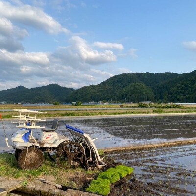 【令和6年産新米】ゆうだい21 精米10kg