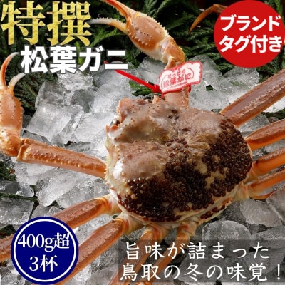 【活物】特撰 松葉がに(タグ付き)400g超 お手頃サイズ　3杯