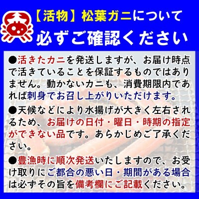 《2025年2月・3月発送》【活物】特撰 松葉がに(タグ付き)500g超 お手頃サイズ　3杯