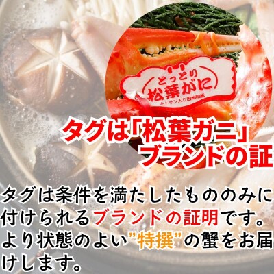 《2025年2月・3月発送》【活物】特撰 松葉がに(タグ付き)600g超の大きいサイズ　2杯