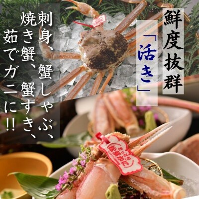 《2025年2月・3月発送》【活物】特撰 松葉がに(タグ付き)900g超の大きいサイズ　特大1杯