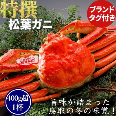 《2025年2月・3月発送》【ボイル】特撰 松葉がに(タグ付き)400g超 お手頃サイズ　1杯