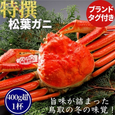 【ボイル】特撰 松葉がに(タグ付き)400g超 お手頃サイズ　1杯